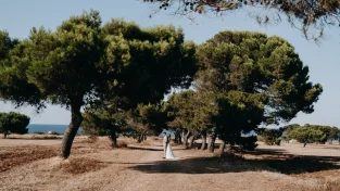 Olive Grove Wedding Elopement in Italy