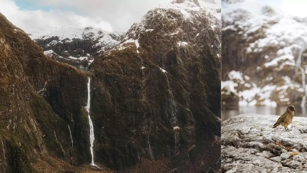 Mountain Elopement New Zealand