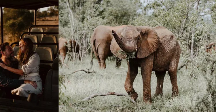 African Safari Wedding