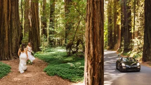 Redwoods Elopement | Road Trip and Hiking