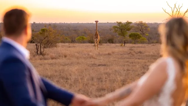 All-inclusive Elopement and Safari Honeymoon | South Africa