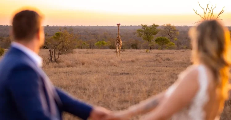 All-inclusive Elopement and Safari Honeymoon | South Africa