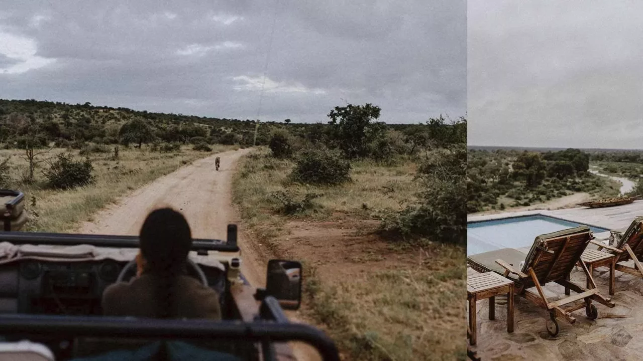 all-inclusive-safari-honeymoon-elopement-wedding-package