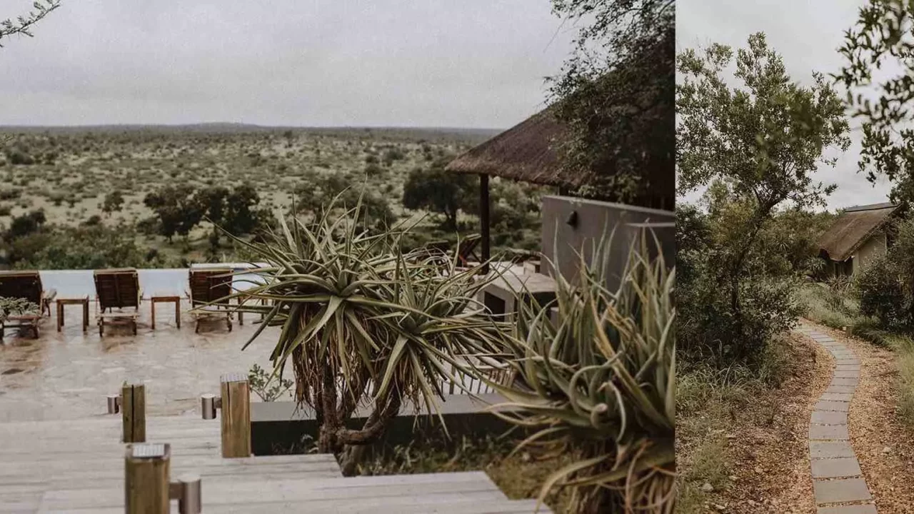 safari-honeymoon-package-south-africa-all-inclusive-elopement