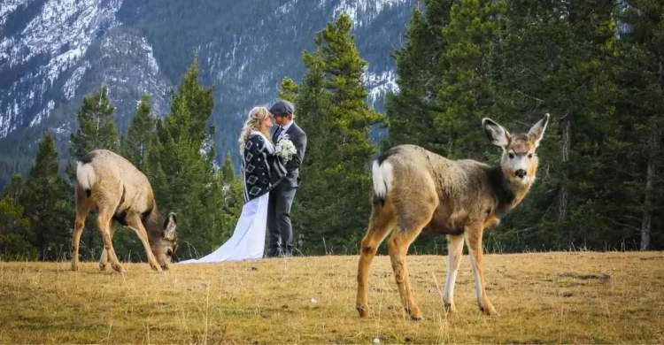 Banff Elopement Package | Rocky Mountains Wedding in Canada