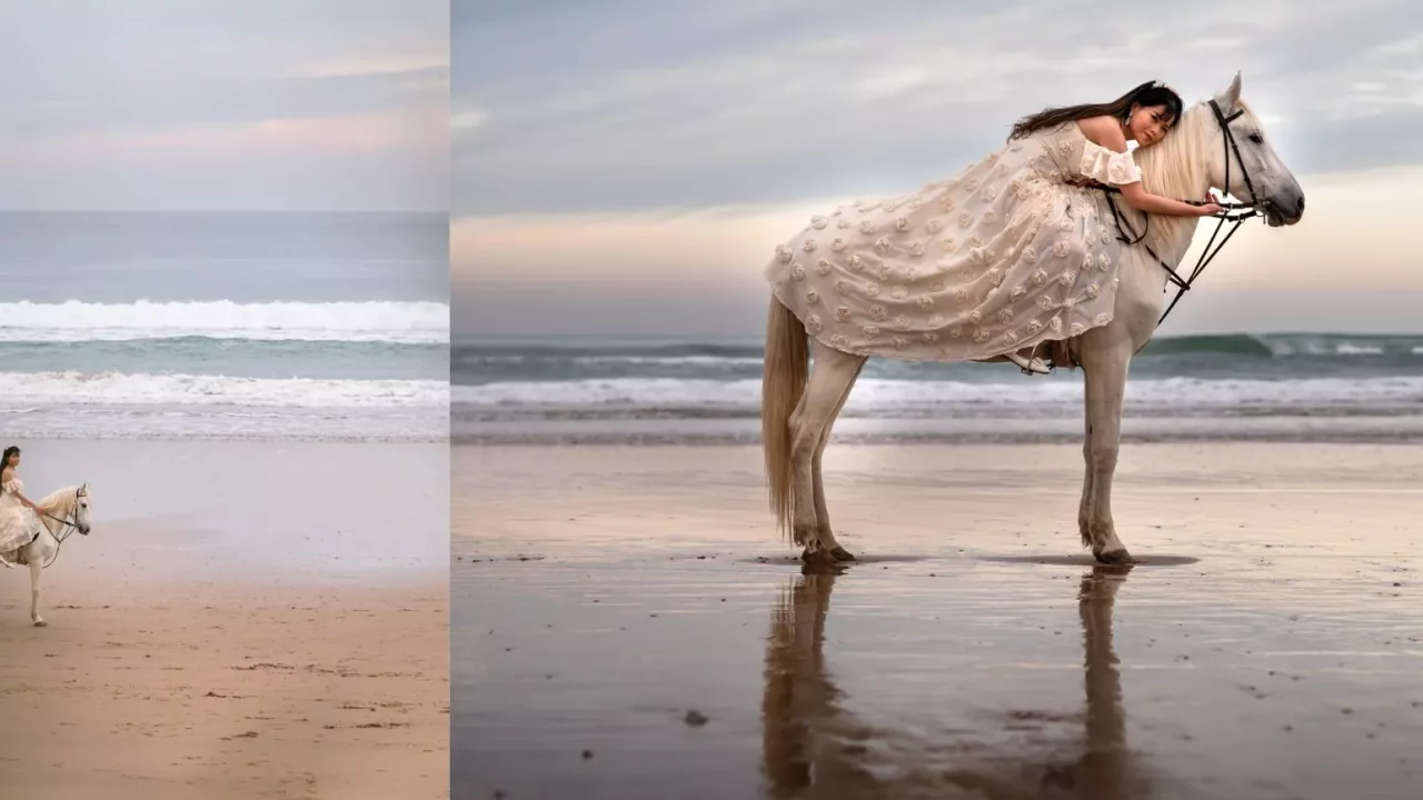 Morocco Wildlife Marocco Elopement Package