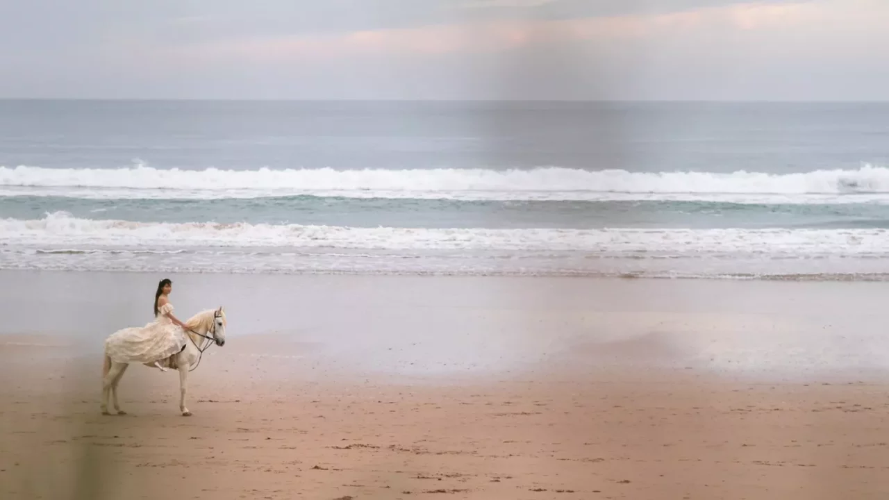 Morocco Beach Horse Riding  Marocco Elopement Package  Wedding & Honeymoon in Africa