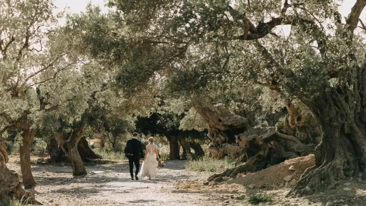 mallorca-wedding-package