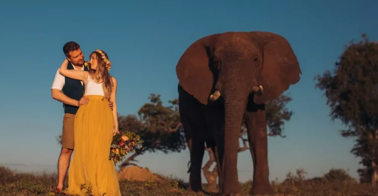 Elephant Wedding in Limpopo | Get married in South Africa