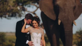 Elephant Wedding in Limpopo | Get married in South Africa