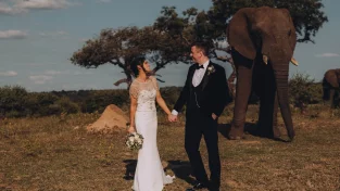 Elephant Wedding in Limpopo | Get married in South Africa