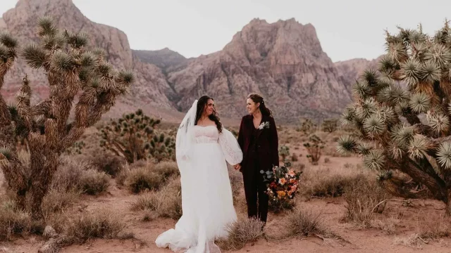 Las Vegas Intimate Wedding | Photography Package