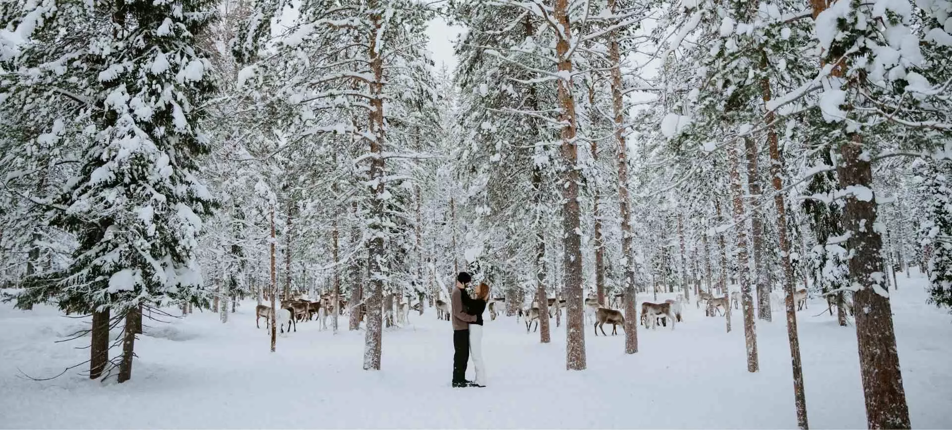 Finland Elopement | Winter Wedding in Lapland