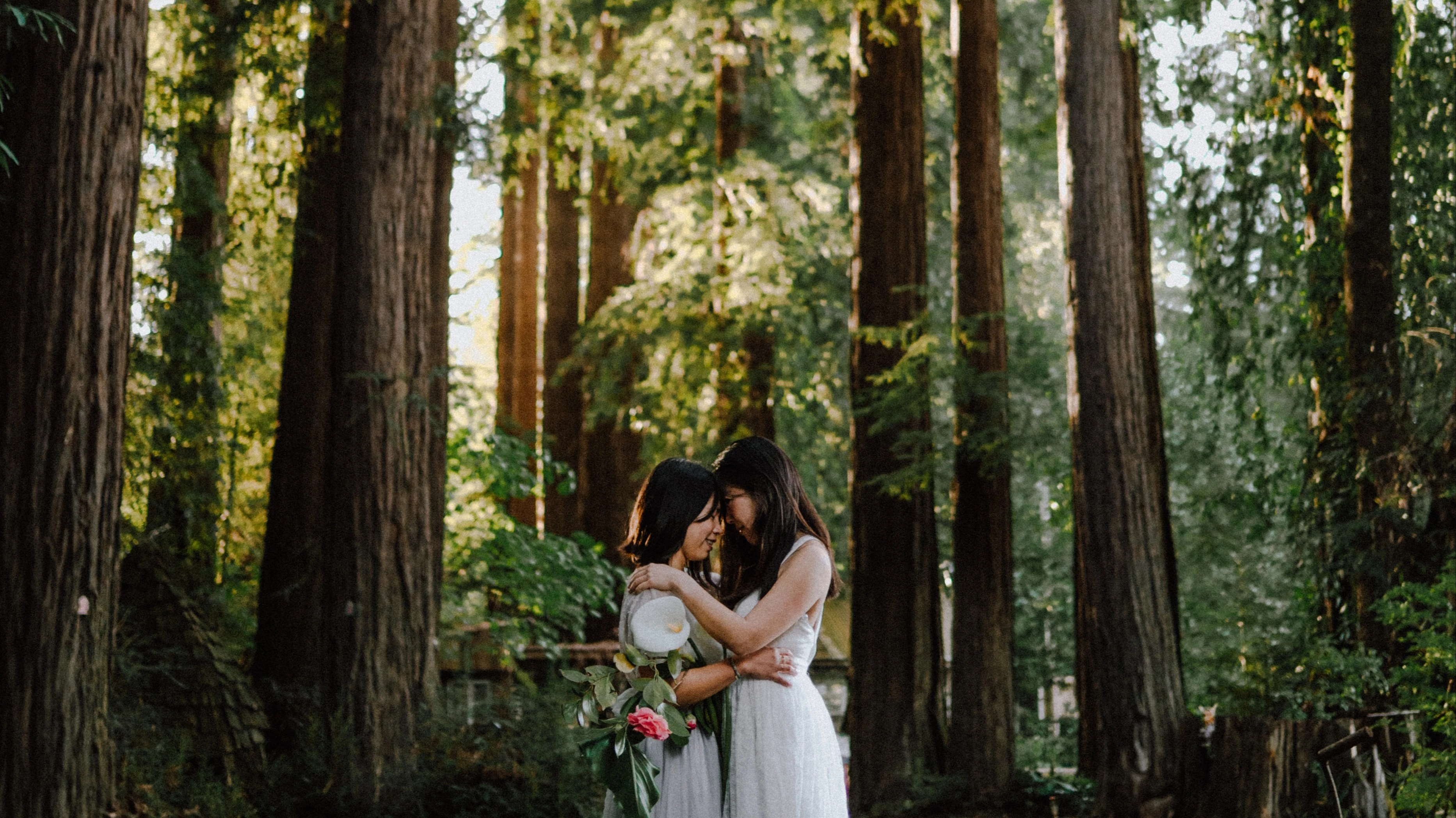 Redwood Forest Elopement | Short Hike and Picnic