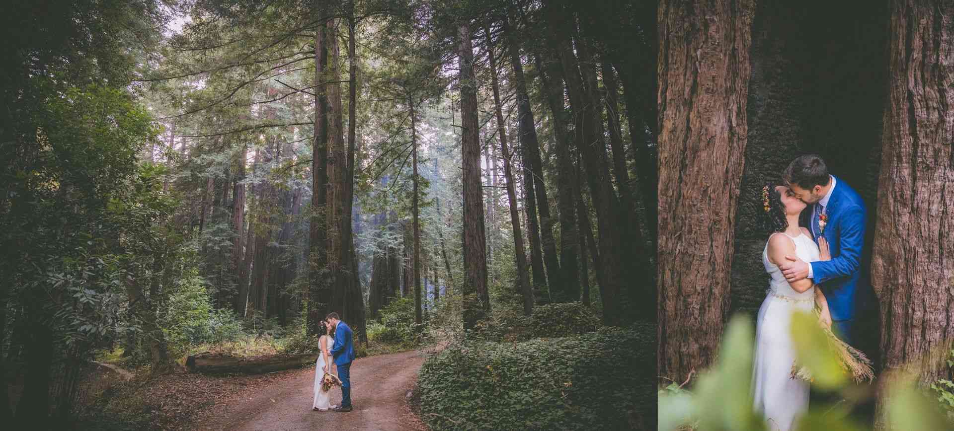 redwoods after wedding photos in big sur, california
