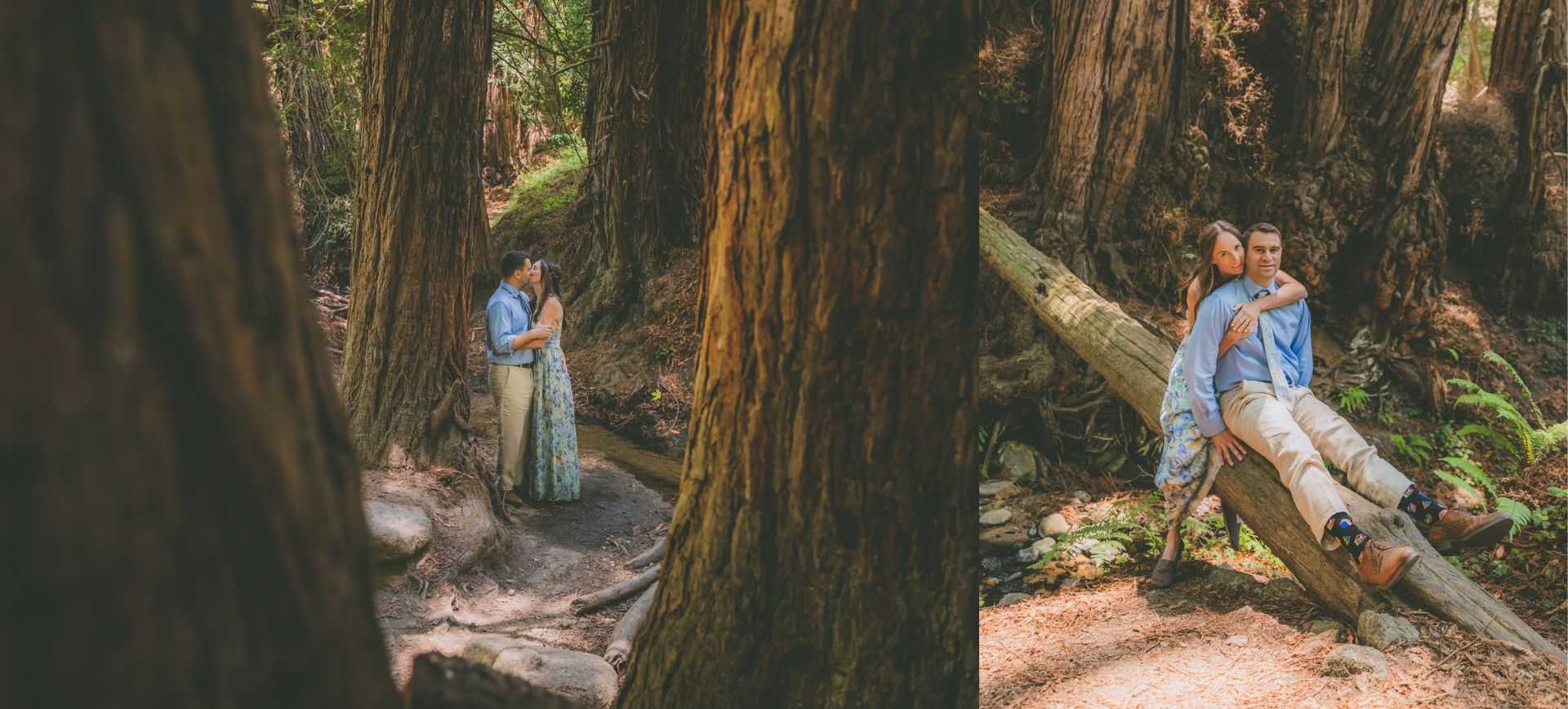 redwoods engagement photos big sur california