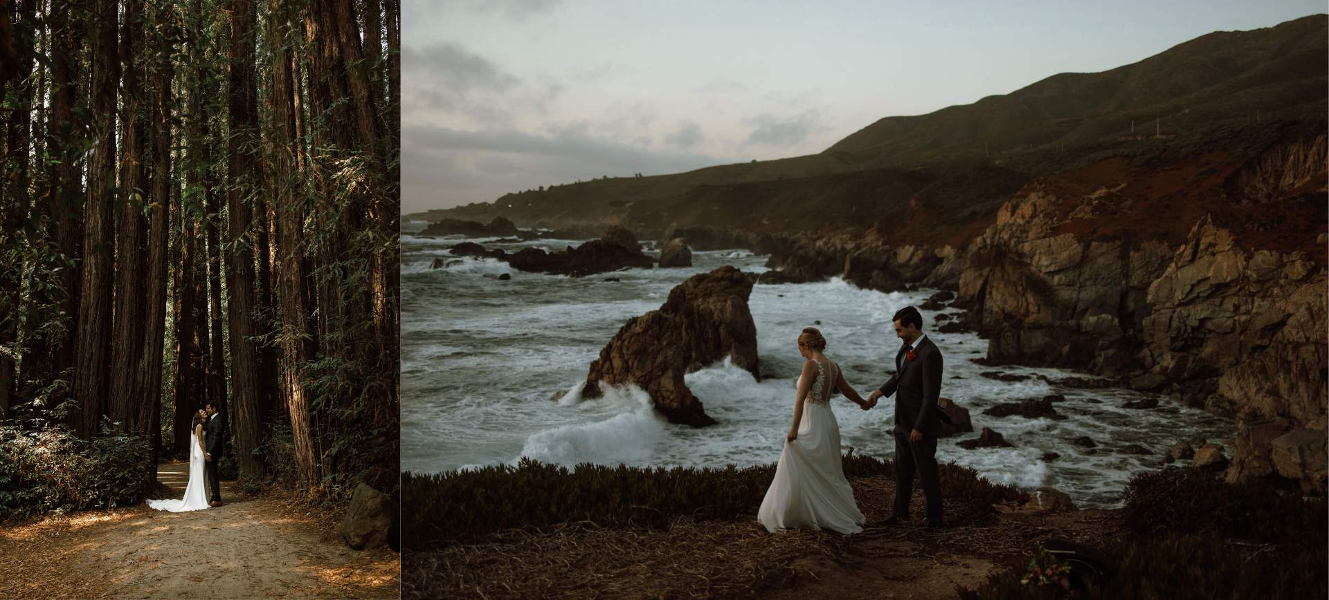 elopement package big sur, california - wedding photos & ceremony in redwood forest & beach