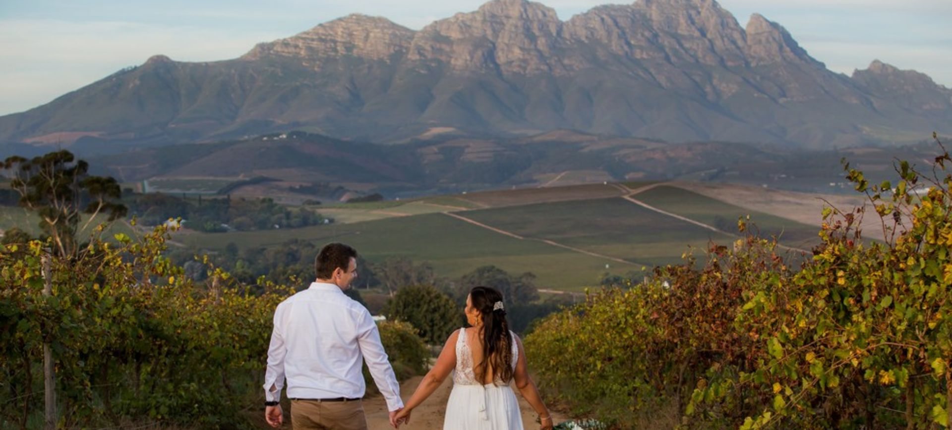 winelands wedding in south africa