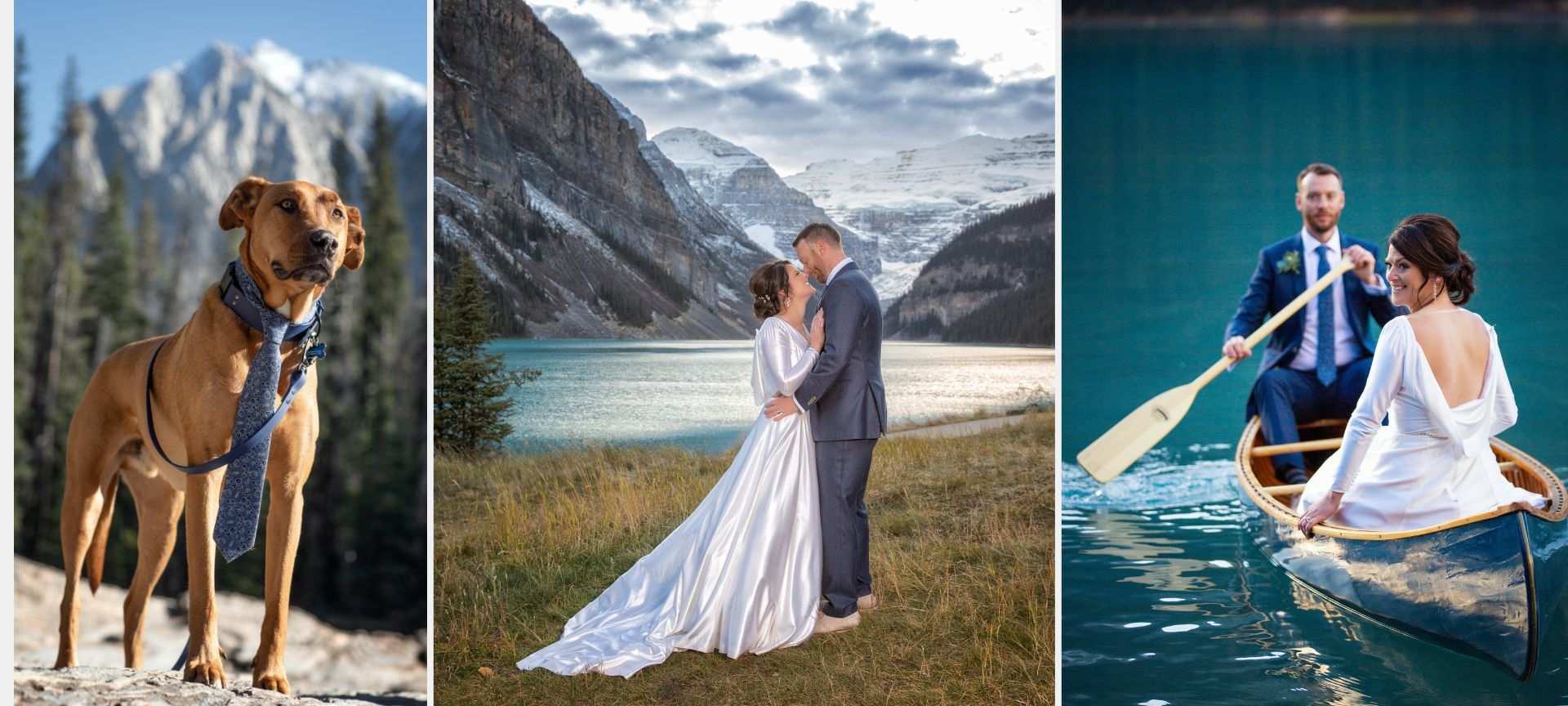 lake louise wedding elopement alberta canada