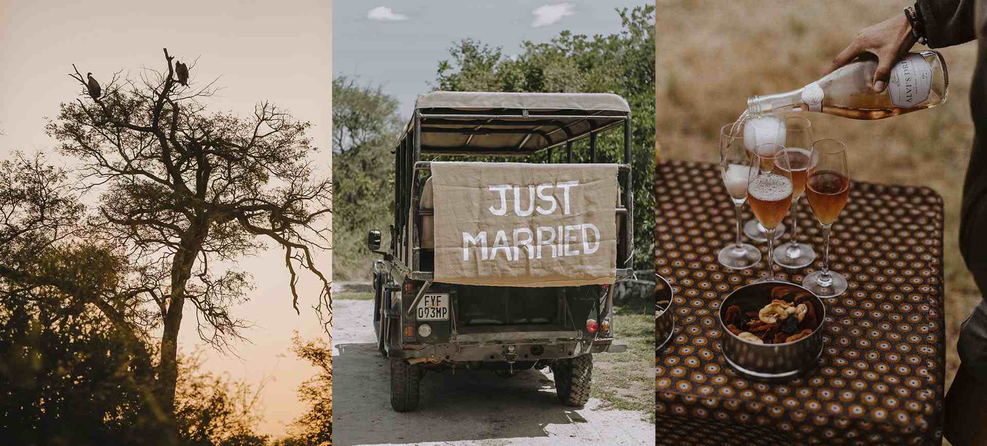 all inclusive safari wedding and honeymoon package in south africa