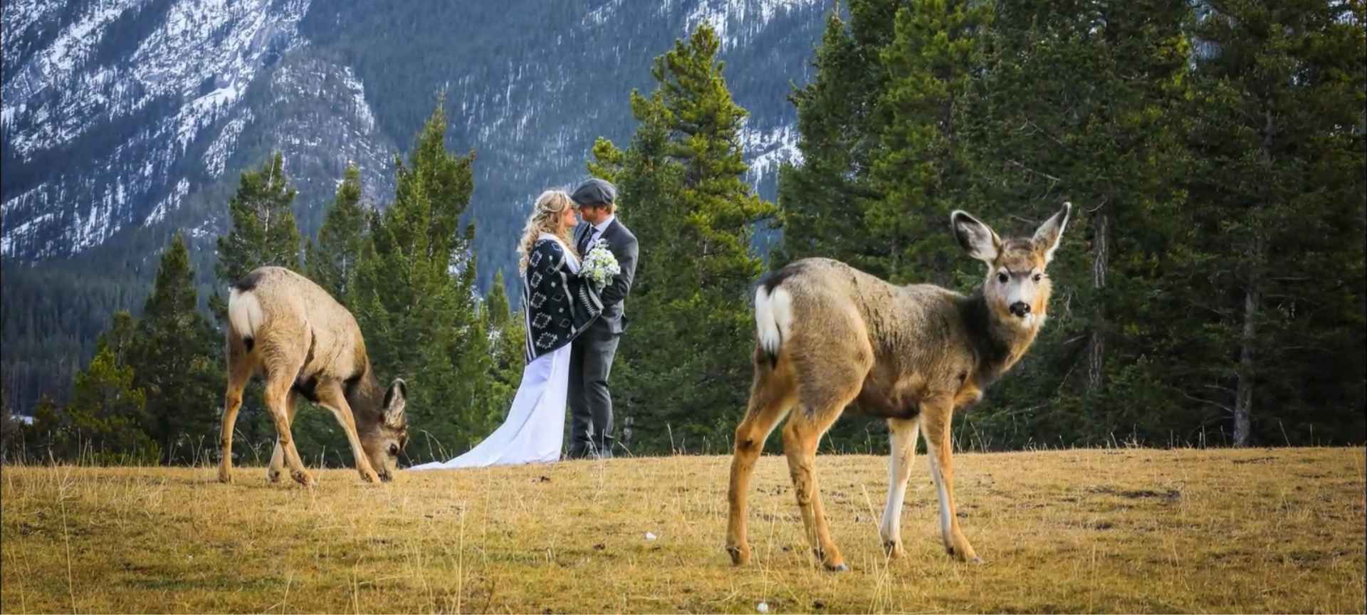 banff elopement package - rocky mountains wedding in canada